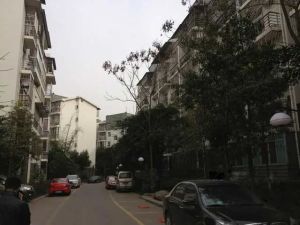 户型方正 通风好 出行便利 产权满五