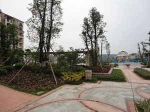 和丰颖苑96.71方3房2厅2卫一楼带阳台近仙湖税费少