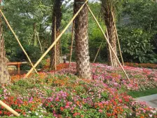 依云天汇南区 5室2厅 南