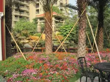 依云天汇 南北对流 无遮挡 保养新 业主诚意出售