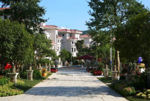 碧桂园大品牌 一梯两户 南北对流 采光好 业主诚意出售