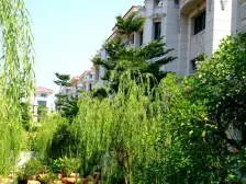 里水 碧桂园大别墅 价格实惠有花园和停车位置