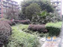 现浇房!客厅带平台!下楼新广场!诚心卖,看房方便