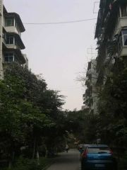 市区,不是顶楼,大套三双卫,南北格局,老证,有车位