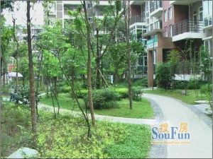 金秋花园B区3室2厅南