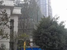 弹子石 泽京微v一房