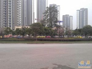 朝中庭安静装修风格清爽,业主急售