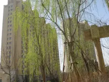 雁滩正规三室电梯房小区环境好次新小区