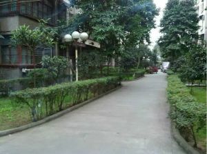 好楼层,大两室,不临路安静得很