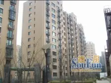 前城国际二期 1室1厅 东北