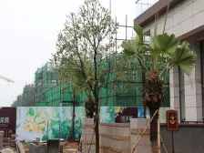 香茶郡富盈松湖公馆,五房别墅,小区客理配套完善