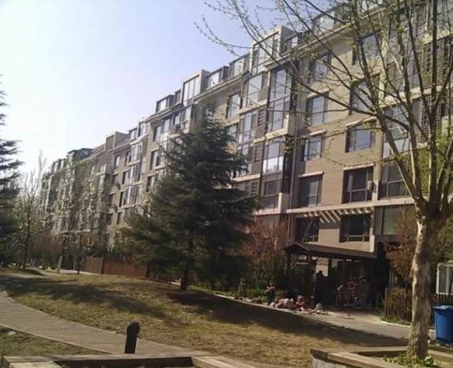 沈辽东路社区1室1厅1卫南朝向850.00元/月出租