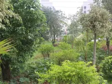 中间楼层,采光好,拎包入住,看中可谈