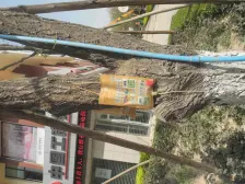 仁恒美林郡 小高层复式 四室两卫 住家装修 实际150平