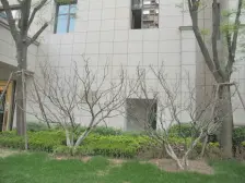 仁恒美林郡 欧式住宅 园林小区 四室采光好 产权按揭