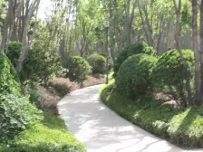 森林小区, 精装修, 户型方正,产权到位