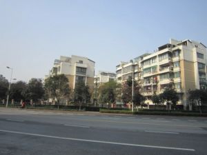 兴越小区3室2厅南