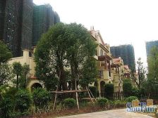 领居A区 高楼层 南北通 采光通风好 体育公园旁边