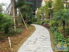 领居A区精装两房,地铁口物业,看房方便