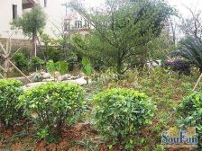 新世纪领居A区 配套齐全 大四房