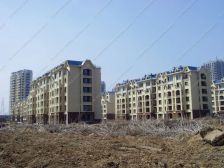 精装修 5室3厅3卫 3层别墅 带地下室 花园 车库可看房