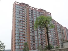 地铁口 领居A区沃尔玛商圈 满五唯一精装三房