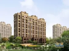 星苏花园二期 1室1厅 南