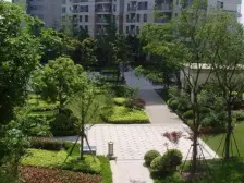 龙华·百汇园·5室·2厅