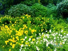 九颂山河 4室2厅 南 北