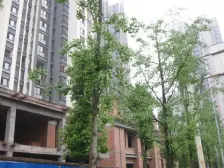 晋愉盛世融城 精装3房 家电齐全 拎包入住