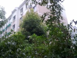 人利华府5室2厅南