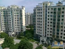 毛坯电梯房 中间楼层 采光好 看房方便