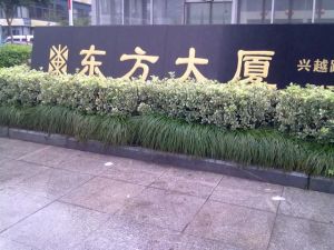 东方大厦1室1厅南