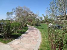 滨才凤栖湖电梯洋房2室2厅1卫南北通透