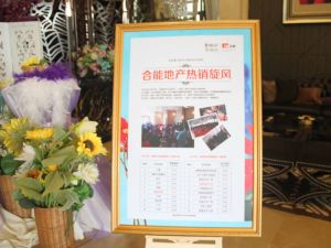 合能洋湖公馆一期2室1厅南
