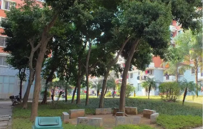 五凤小区
