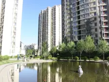 世纪城?五区 3室2厅 南 北