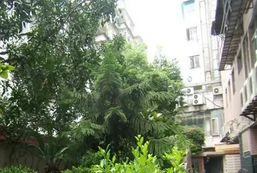 洪腾阁