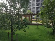 远香舫新苑3室西南朝向480.00万元/套出售