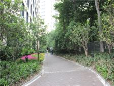 三期大平层,价格实惠,看整个森林绿化