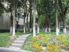 新上电梯南北通两房 户型方正 交通便利 三轨交汇