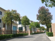 阜阳市开发区如意豪庭宝石苑二楼出售