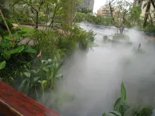 兆阳御花园 电梯8楼 四房温馨装修 南北对流