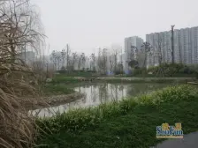 荣盛花语城 1室1厅 南