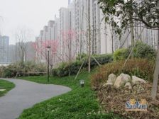 荣盛花语城1室1厅东南