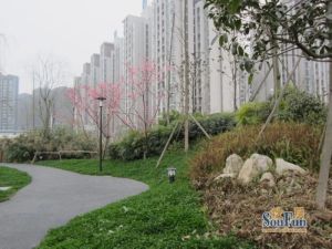 荣盛花语城1室1厅东南