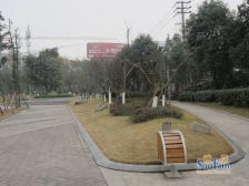 荣盛花语城1室1厅南