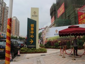 临深保价标杆小区,复式房前看水库,大平台看高尔夫