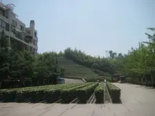 花园电梯洋房+精装修+拎包入住+业主诚心出售