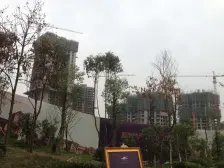 龙洲湾 凯川紫依云二房